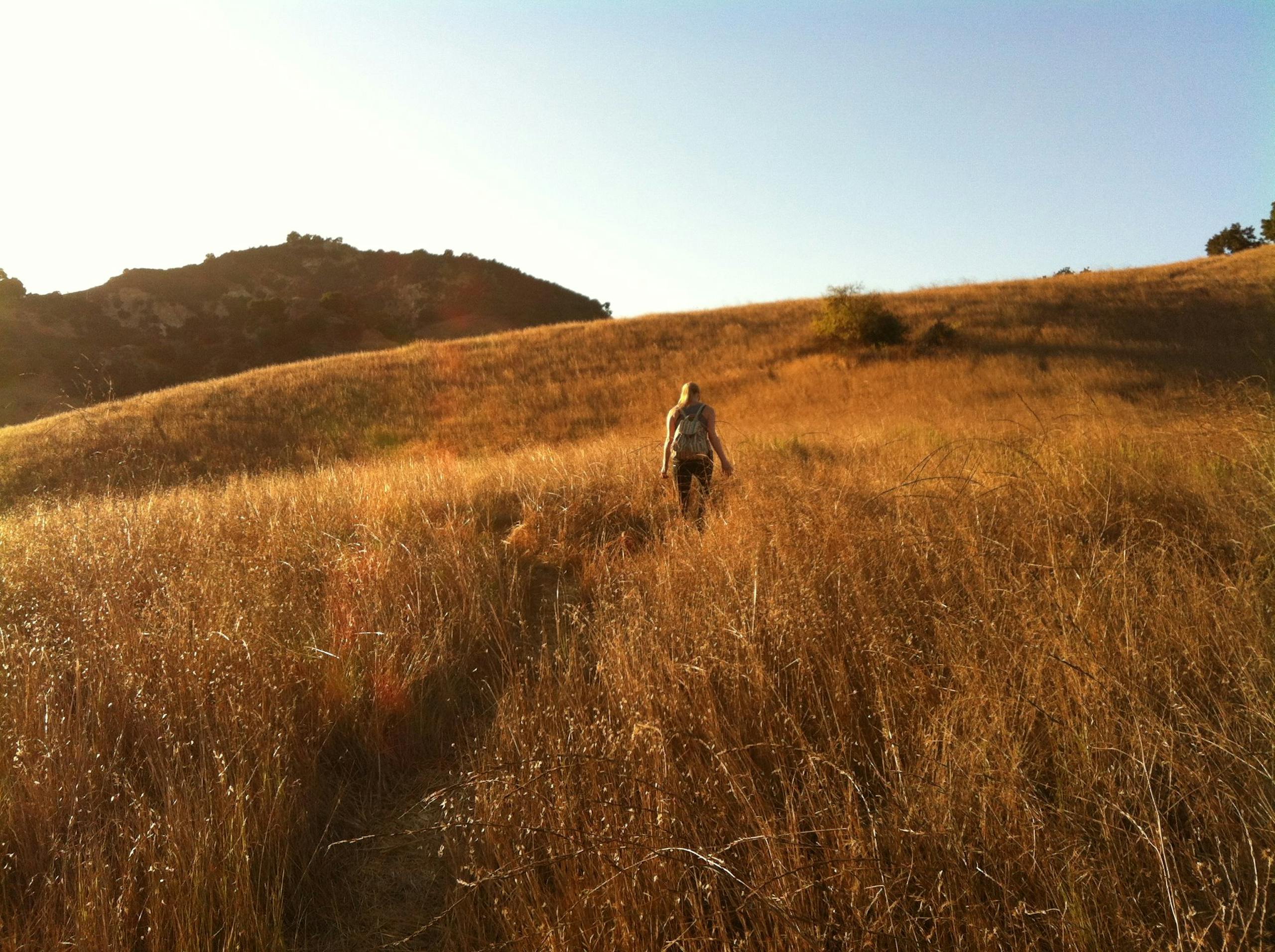 A woman trekking through sunlit golden fields with hills in the background, capturing outdoor adventure.